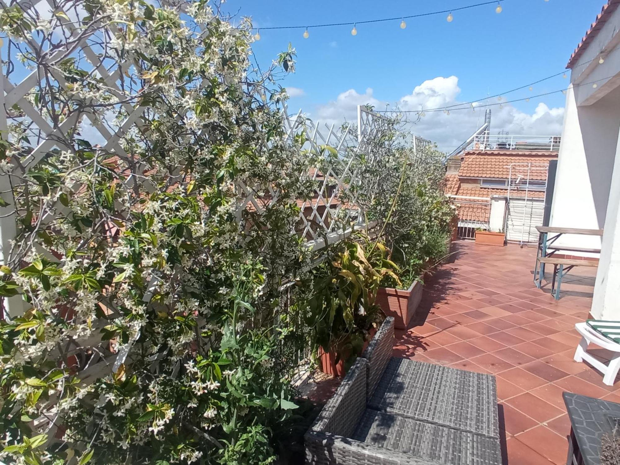 Rooftop Appia Antica,Silenzioso Riservato Two Bedrooms Two Bathrooms Rom Exteriör bild
